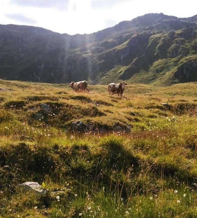 Ferienwohnung Ausserlechner Kartitsch Esterno foto